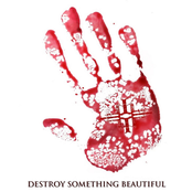 Destroy Something Beautiful
