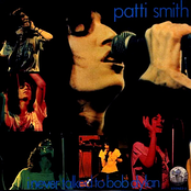 I Never Talked to Bob Dylan cover