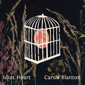 Carsie Blanton: Idiot Heart