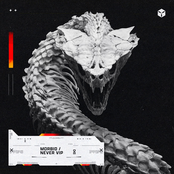 Morbid / Never VIP