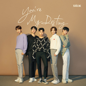 You're My Destiny - Single
