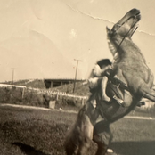 A Horse Named Proletariat