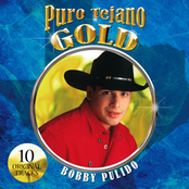Bobby Pulido: Puro Tejano Gold