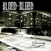 Blood for Blood - City Boy
