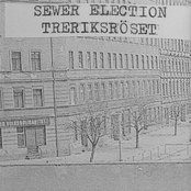 sewer election + treriksröset