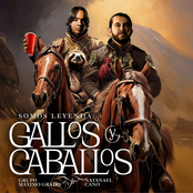 Gallos Y Caballos