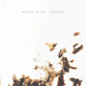 Kittel & Co.: Pando