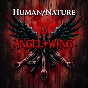 ANGEL+WING