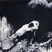 and the Moon Became a Fang