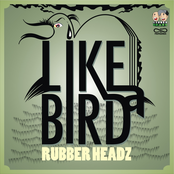 Like a Bird