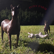 pony farm