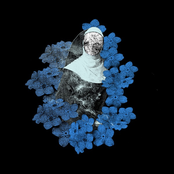 Mugshot: Violent Ends