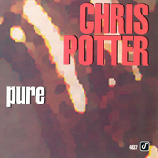 Checking Out by Chris Potter