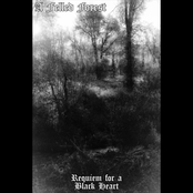 Requiem for a Black Heart