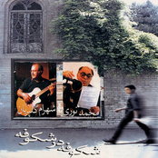 Shekoofeh dar Shekoofhe (Blossoms)