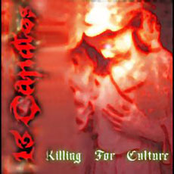 Killing For Culture by 13 Candles