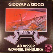 Giddyap a gogo