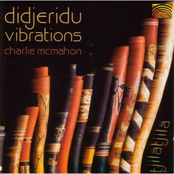 Didjeridu Vibrations