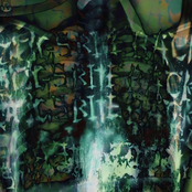 Euthanasia // DOG BITE