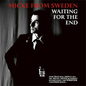 Waiting For The End by Micke From Sweden