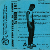 Where The Horses Are Free