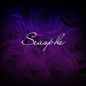 Seasphe