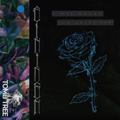 I was recently upset