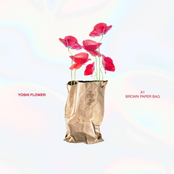 Yoshi Flower: Brown Paper Bag (Maxi)