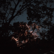 Gleemer: Down Through