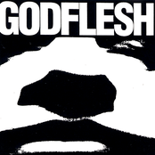 Weak Flesh by Godflesh