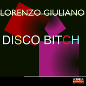 Disco Bitch