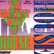 The Greatest Hits Of House