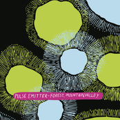 Forest, Mountain, Valley