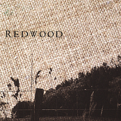 Borrowed Time by Redwood