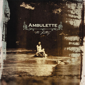 If You Go Away by Ambulette