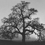 Music For Headphones (Home Demo)