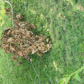 63 Old Shitty Traxxx from Splits that didn't get made (aka 2022 Sided Tape Vol. 2)