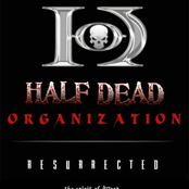 Resurrected (the spirit of Wood...)