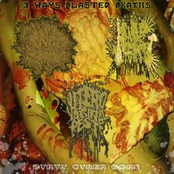 3 WAYS BLASTED BRAINS