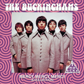 The Buckinghams: Mercy, Mercy, Mercy (A Collection)