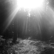 Eight acts of Origin