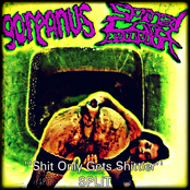 Shit Only Gets Shittier [Split] Album Picture