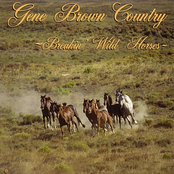 Breakin' Wild Horses