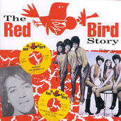The Red Bird Story