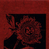 Blut Und Blüte