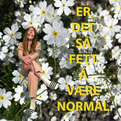 ER DET SÅ FETT Å VÆRE NORMAL
