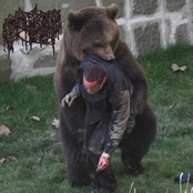 Ripped to Shit and Skull Fucked by a Grizzly Bear