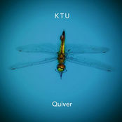 Quiver by Ktu