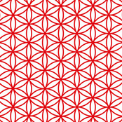 Ona wie co to życie znaczy