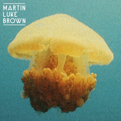 Martin Luke Brown: Into Yellow